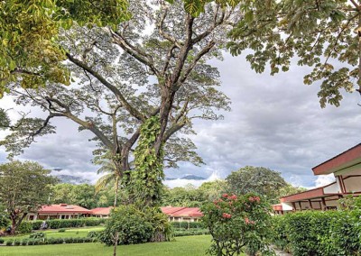 Hacienda Guachipelín